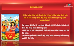 Hỏi đáp nhanh về đơn vị bầu cử