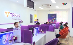 Tín dụng tăng trưởng tích cực ngày từ những tháng đầu năm 