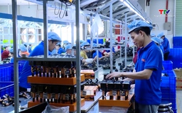 Doanh nghiệp xuất khẩu chủ động ứng phó với chính sách thuế quan