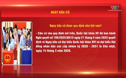 Hỏi - đáp nhanh về bầu cử: Ngày bầu cử