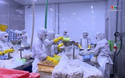 Việt Nam xuất khẩu 11,3 tỷ USD sản phẩm nông, lâm, thủy sản