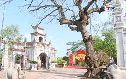 Thanh Hóa yêu cầu tu bổ, tôn tạo di tích đúng trình tự, thủ tục theo quy định