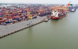 Xử lý nghiêm hành vi trục lợi giá cước vận tải biển