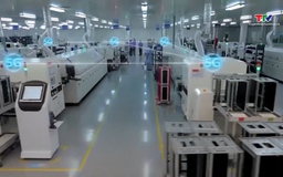 Doanh nghiệp Việt ứng dụng công cụ AI thuộc nhóm cao nhất thế giới