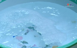 Hiện tượng nước sinh hoạt nổi bọt trắng tại phường Quang Trung giảm rõ rệt