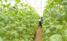 Thọ Xuân đồng lòng xây dựng nông thôn mới