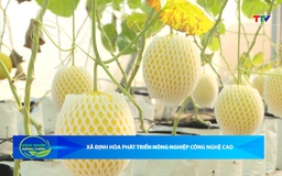 Bản tin Nông nghiệp - Nông thôn ngày 11/4/2026