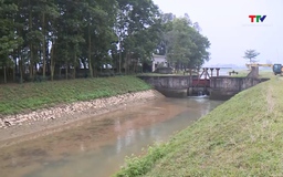 Tập trung ứng phó với nắng nóng và xâm nhập mặn