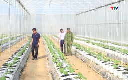 Xã Định Hòa phát triển nông nghiệp công nghệ cao gắn với sản xuất hàng hóa