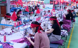 Doanh nghiệp xuất khẩu hàng hóa nỗ lực vượt khó