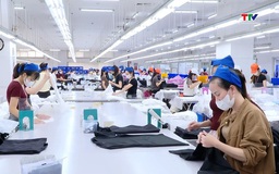 Doanh nghiệp xuất khẩu Thanh Hóa linh hoạt vượt khó, giữ nhịp tăng trưởng