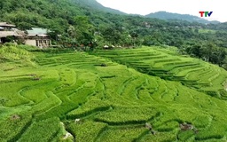 Du lịch lễ 30/4 và 1/5: Sôi động thị trường gần, ngắn ngày