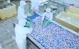 Quý 2 năm 2026, thị trường Trung Quốc là động lực cho tăng trưởng của xuất khẩu thủy sản 