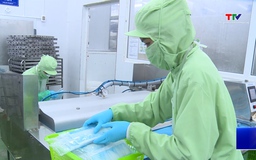 Giá trị xuất khẩu nông, lâm, thủy sản đạt hơn 85,78 triệu USD