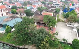 Nét đẹp Nghè làng Xuân Hội