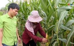 Phát triển doanh nghiệp Khoa học công nghệ