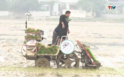 Xây dựng “Cánh đồng công nghệ số”