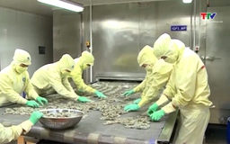 Giá nông sản quý II đối mặt áp lực tăng giá