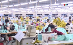 WB vinh danh Việt Nam về hiệu quả phát triển và sử dụng vốn con người