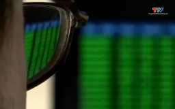 Việt Nam đứng đầu Đông Nam Á về số lượng doanh nghiệp bị tấn công web