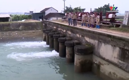 Chủ động nguồn nước tưới cho sản xuất nông nghiệp 