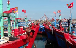 Thanh Hóa triển khai điều tra, đánh giá nghề cá thương phẩm