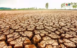 Cảnh báo nguy cơ thiếu nước diện rộng