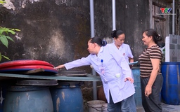 Thanh Hóa: Chủ động phòng chống sốt xuất huyết