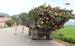 Đảm bảo trật tự an toàn giao thông trên tuyến tỉnh lộ 516