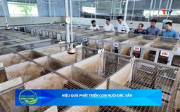 Bản tin Nông nghiệp - Nông thôn ngày 22/4/2026