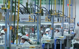 Xuất khẩu hàng hóa tăng 20,8% so với cùng kỳ