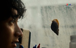 Phim Việt tranh giải tại Liên hoan phim Cannes 2026