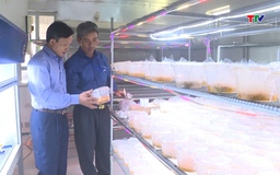 Thu hút đầu tư - Động lực mở rộng không gian phát triển