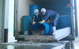 Xuất khẩu nông, lâm, thủy sản sang Mỹ gặp nhiều thách thức