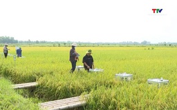 Nút thắt cần tháo gỡ để tín dụng xanh thực sự bứt phá