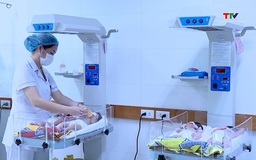 Thúc đẩy tiến độ hoàn thiện 2 Thông tư hướng dẫn thực hiện Luật Dân số