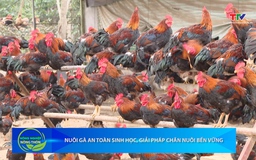 Bản tin Nông nghiệp - Nông thôn ngày 29/04/2026