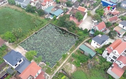 “Nét đẹp Đình làng Sơn”