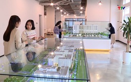 Chấn chỉnh, phòng ngừa sai phạm trong mua bán nhà ở xã hội