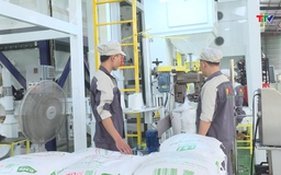 Phát triển công nghiệp chế biến, nâng cao giá trị lúa gạo Thanh Hóa