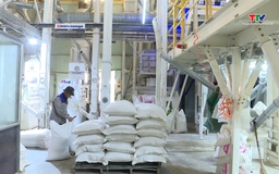 Phát triển công nghiệp chế biến, nâng cao giá trị lúa gạo Thanh Hóa