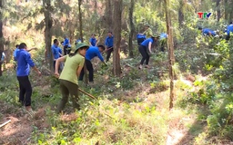 Tăng cường các biện pháp phòng cháy, chữa  cháy rừng