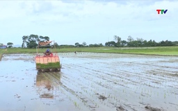 Ứng dụng trí tuệ nhân tạo để giảm phát thải khí nhà kính trong nông nghiệp