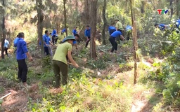 Dự báo cấp dự báo cháy rừng từ ngày 06/4 - 08/4/2026