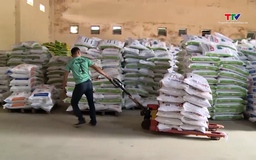 Giá thức ăn chăn nuôi dự báo sẽ tăng cao