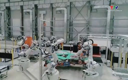 Đến 2035, thu hút 1500 nhà khoa học về giảng dạy tại các cơ sở giáo dục đại học, giáo dục nghề nghiệp của Việt Nam