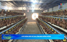 Bản tin Nông nghiệp và Nông thôn ngày 8/4/2026