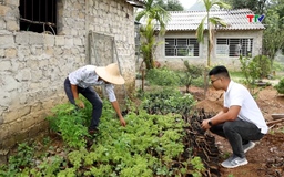 Thúc đẩy phát triển nông nghiệp, nông thôn bền vững