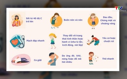 Cảnh báo nguy cơ say nắng trong những ngày nắng nóng 