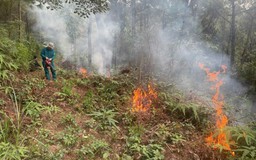 Dự báo cấp cháy rừng từ ngày 9/4 - 13/4/2026